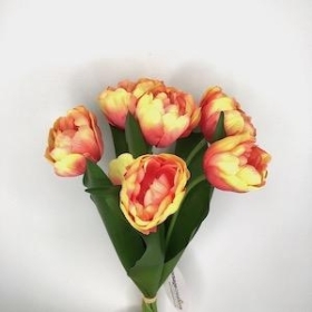 Peach Tulip Bundle 40cm
