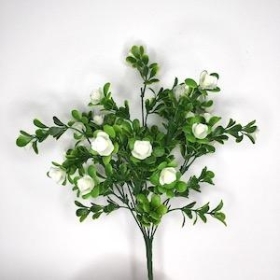 White Mini Rose Bush 31cm