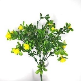 Yellow Mini Rose Bush 31cm