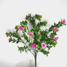 Pink Mini Rose Bush 31cm