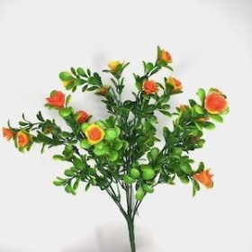 Orange Mini Rose Bush 31cm