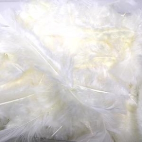 Cream Turkey Feathers 45g