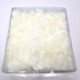 Cream Turkey Feathers 45g