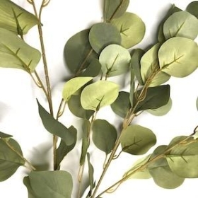 Green Populus Eucalyptus 105cm