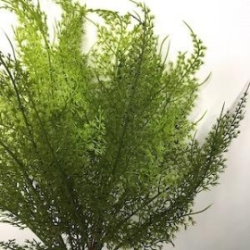 Green Fine Fern Bush 39cm