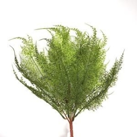 Green Fine Fern Bush 39cm