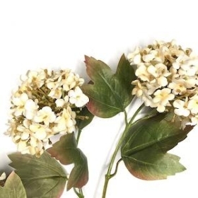 Cream Viburnum Spray 81cm