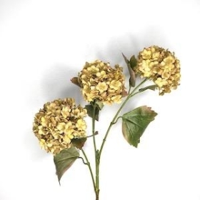 Vintage Viburnum Spray 81cm