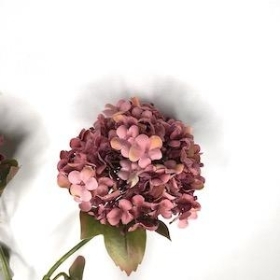 Dusky Pink Viburnum Spray 81cm