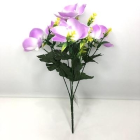 36 x Assorted Mini Orchid Bush 31cm