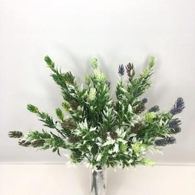 48 x Assorted Mini Thistle Bush 32cm