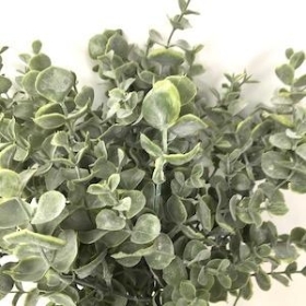 Green Spiral Eucalyptus Bush 45cm