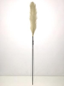 Light Grey Feather Grass 96cm