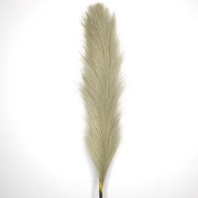 Light Grey Feather Grass 96cm