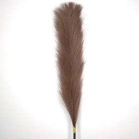 Cocoa Feather Grass 96cm