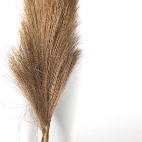 Gold Feather Grass 96cm