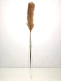Gold Feather Grass 96cm