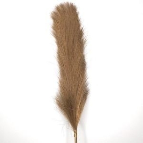 Gold Feather Grass 96cm