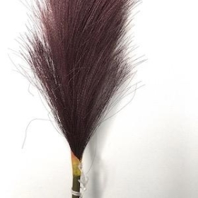 Plum Feather Grass 96cm