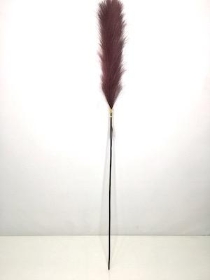 Plum Feather Grass 96cm