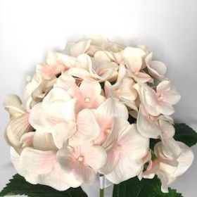 Pale Pink Luna Hydrangea 71cm