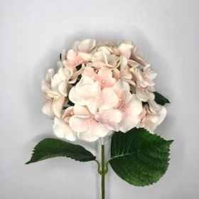 Pale Pink Luna Hydrangea 71cm