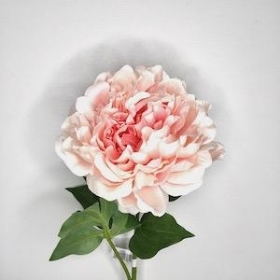 Peach Pink Peony 54cm