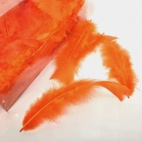 Orange Turkey Feathers 45g