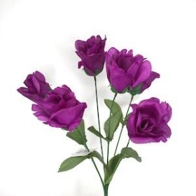 Purple Rose Bush 36cm