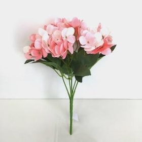 36 x Pink Hydrangea Bush 24cm