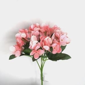 Pink Hydrangea Bush 24cm