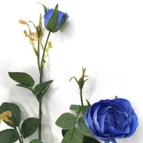 Blue Garden Rose 63cm