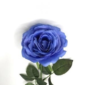 Blue Rose 63cm