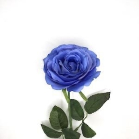 Blue Rose 63cm