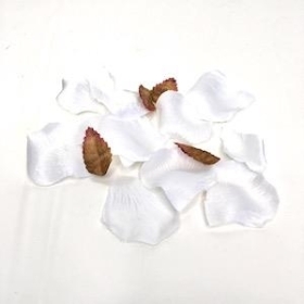 White Rose Petals x 150