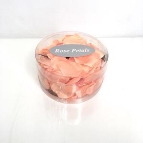 Peach Rose Petals x 150