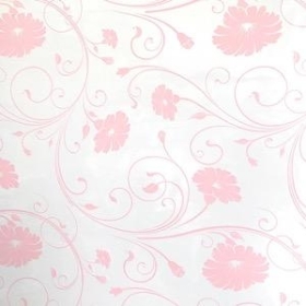 Pink Daisy Cellophane 100m