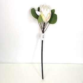 Ivory Protea 66cm