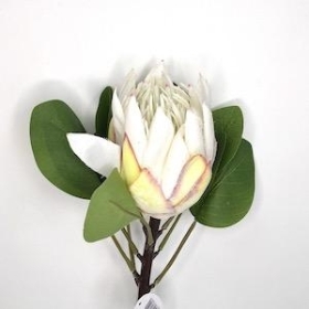 Ivory Protea 66cm