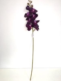 Purple Phalaenopsis Orchid 98cm