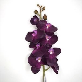 Purple Phalaenopsis Orchid 98cm
