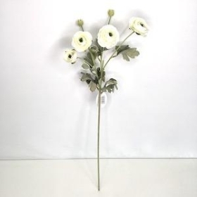 Ivory Ranunculus 64cm