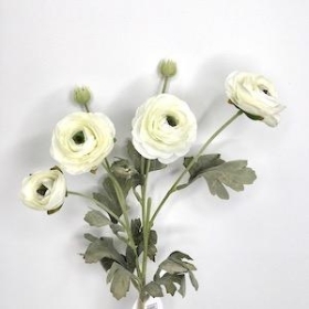 Ivory Ranunculus 64cm
