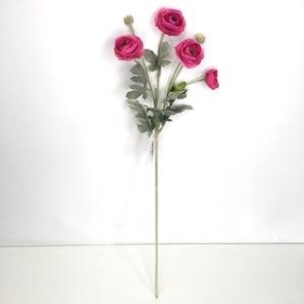 Cerise Ranunculus 64cm
