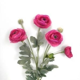 Cerise Ranunculus 64cm