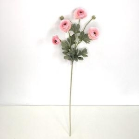 Pink Ranunculus 64cm