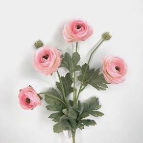 Light Pink Ranunculus 64cm