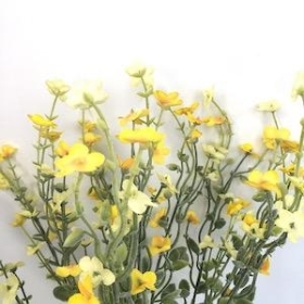 Yellow Blossom And Foliage Bush 43cm