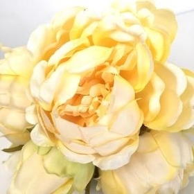 Yellow Peony Bundle 25cm