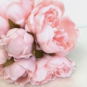 Light Coral Peony Bundle 25cm